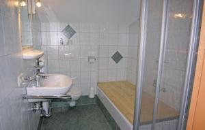 Apartment Flachaustrasse IV