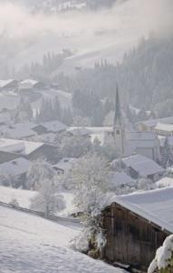 Apartment Alpbach IIII