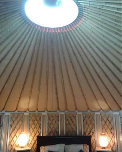 Отель Forgetmenot Yurt