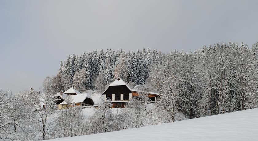 Отель Schlintl-Hof