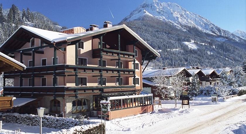 Отель Hotel Alpina