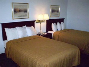 Отель Quality Inn Ruther Glen