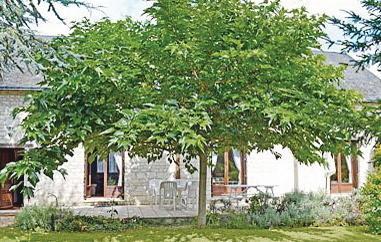 Апартаменты Holiday Home Ligre Rue Du Rouilly