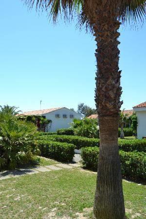 Отель Villaggio Punta Alice