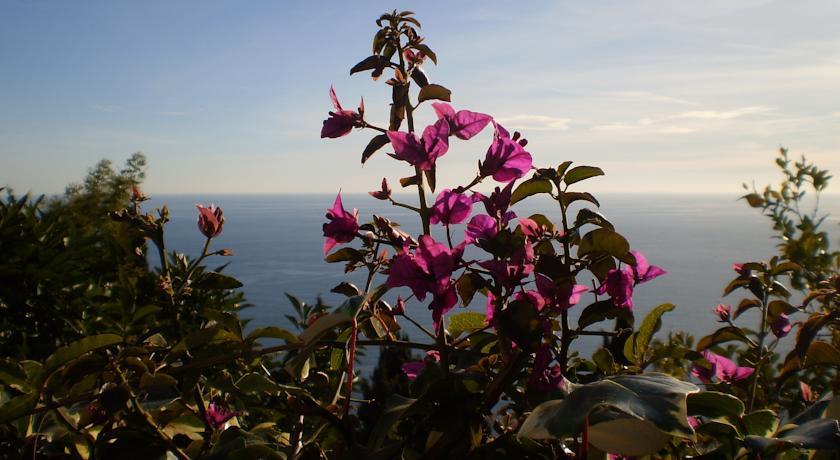 Мини-отель Chambre d'Hôtes Village de Roquebrune-Cap-Martin