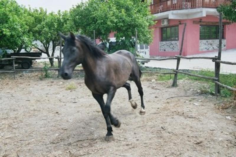 Отель La Spina Santa Agriturismo