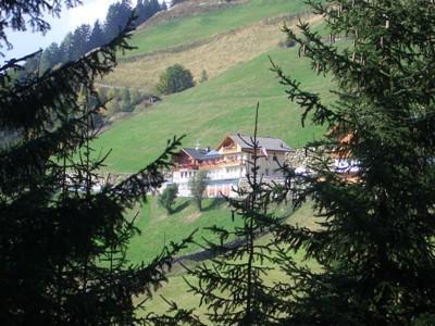 Апартаменты Roanerhof