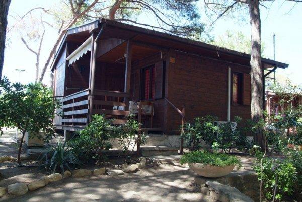 Отель Camping Pionier Etrusco