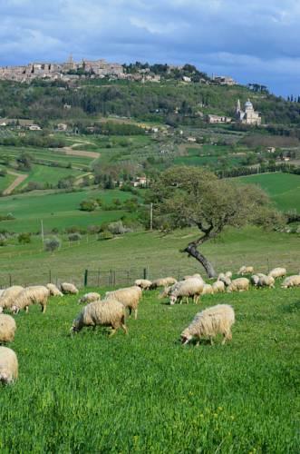 Отель Agriturismo Villa Mazzi