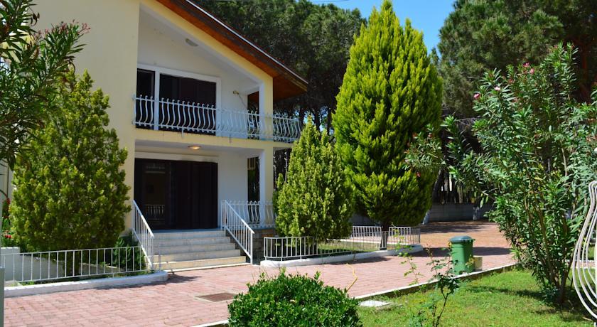 Resort Kolaveri
