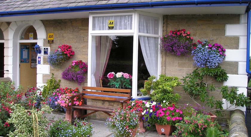 Мини-отель Inglenook Guest House
