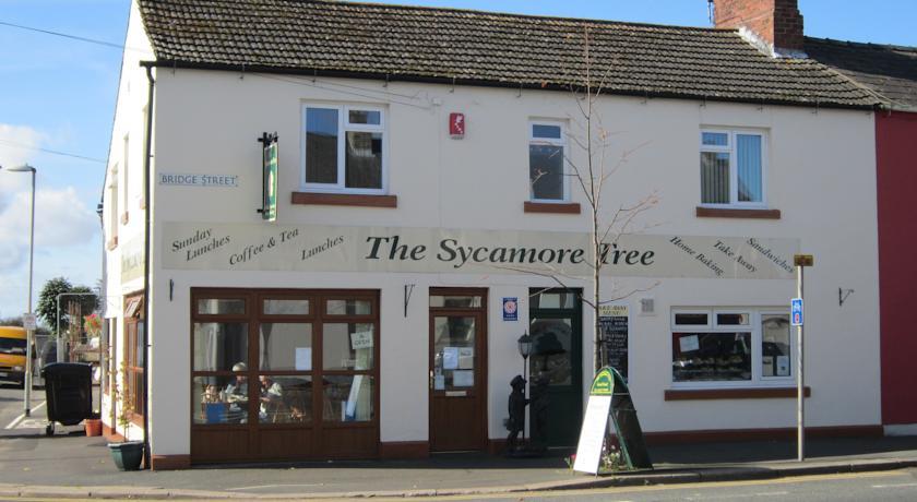 Мини-отель The Sycamore Tree