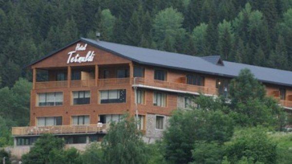 Гостиница Hotel Tetnuldi