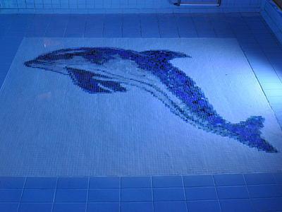 Dolphin Apartments