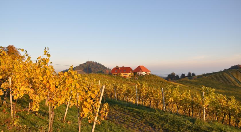 Мини-отель Weingut Kögl