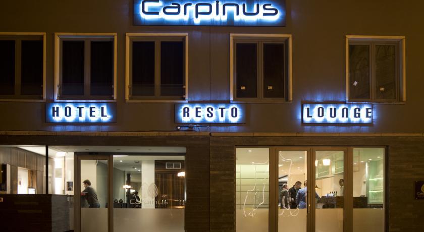 Отель Hotel Carpinus
