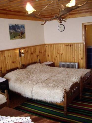 Отель Hotel Rai