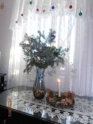 Гостевой дом Venikula Guest House