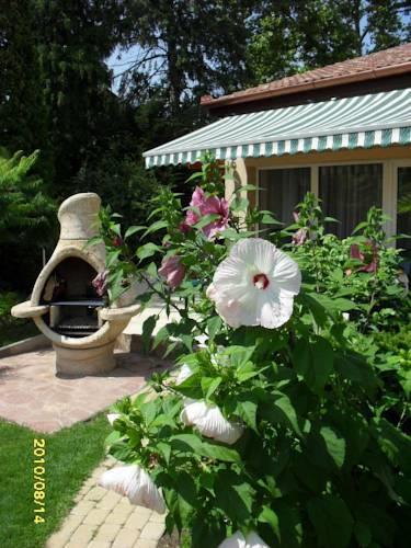Апартаменты Aba Wellness House