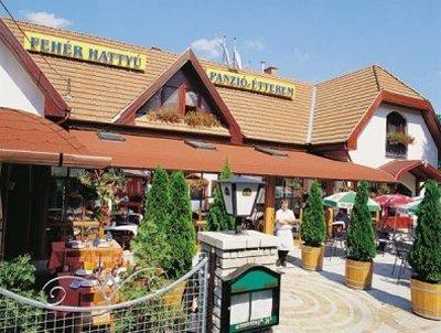 Мини-отель Fehér Hattyú Panzió