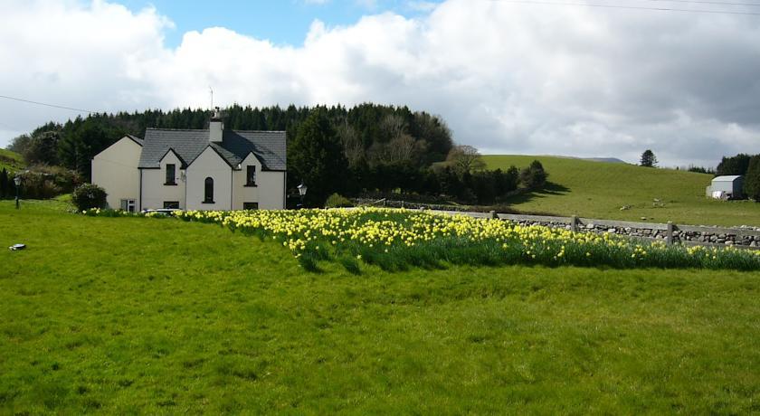 Мини-отель Inishfree House B&B