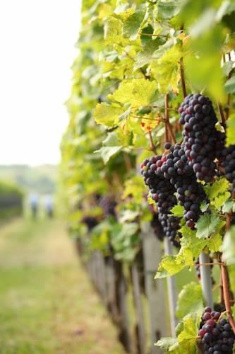 Гостевой дом Podere Morucciola