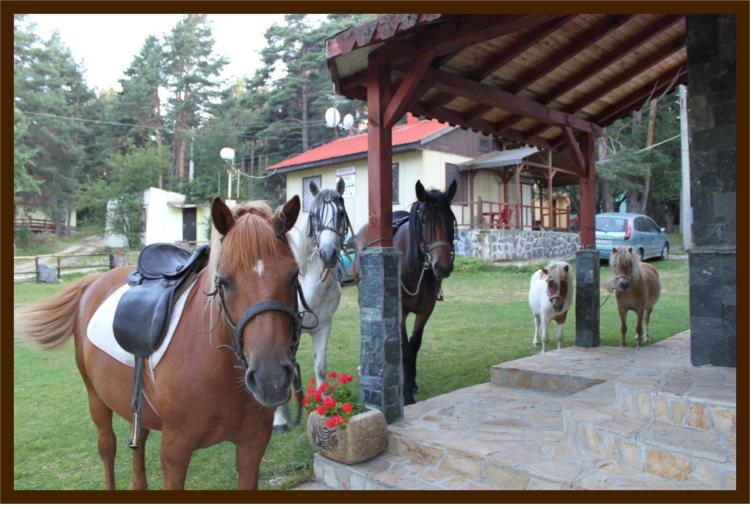 Гостевой дом Sweet Life Family Hotel