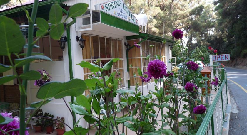 Отель Spring Hotel