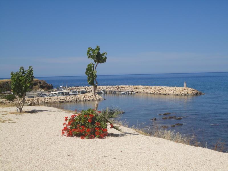 Вилла Petros Seashore Villa