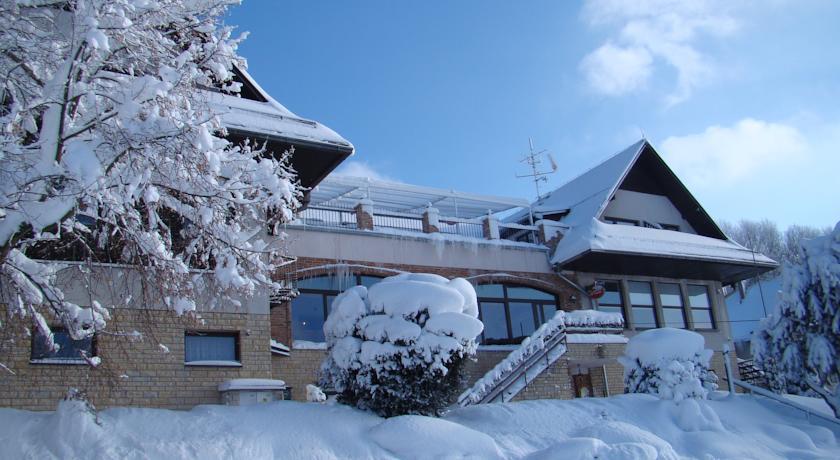 Отель Hotel Podlesí