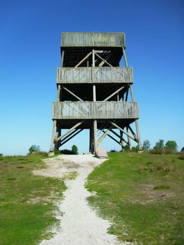 Мини-отель Bed And Breakfast Appelscha