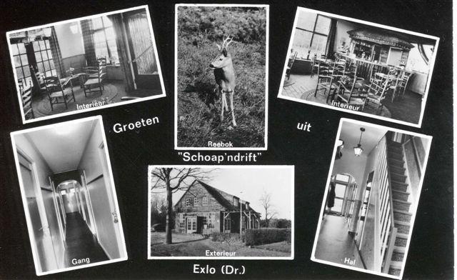 Отель Herberg Schoapendrift