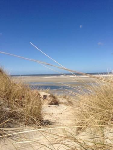 Апартаменты Appartement De Zeehond Amelander-Kaap