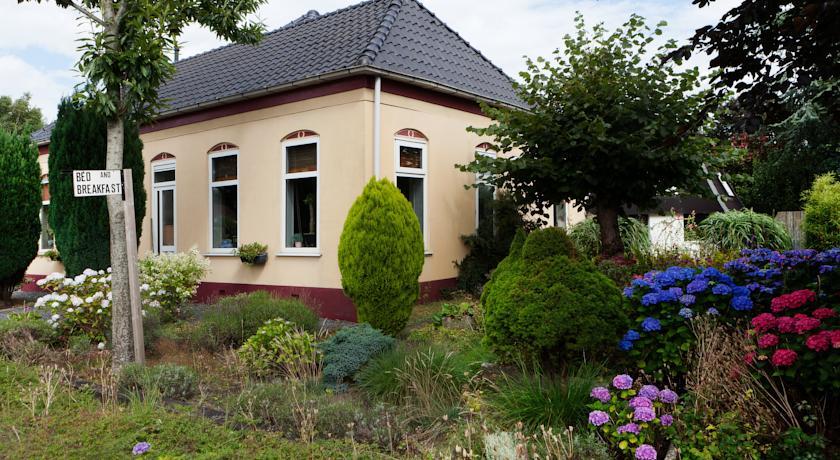 Мини-отель Aunty Bed & Breakfast