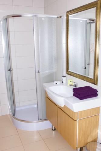 Отель Hotel Orion