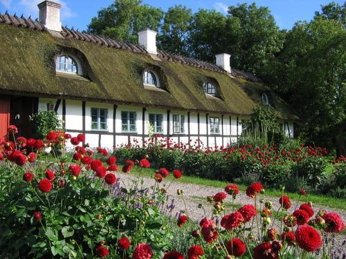 Мини-отель Albertsgaard Bed & Breakfast
