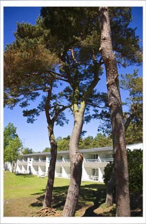 Отель Dueodde Holiday Apartments