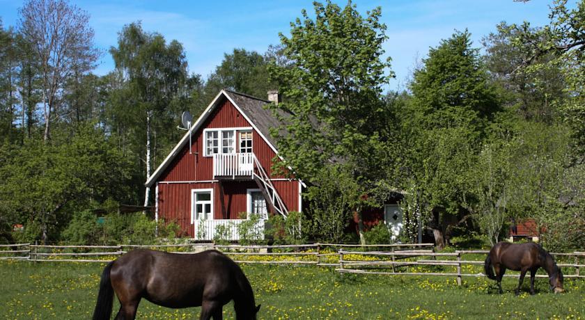 Апартаменты Kooli Kopli Holiday Homes
