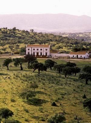 Отель Finca Los Llanos