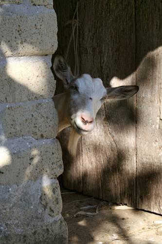 Отель Agriturismo San Giorgio