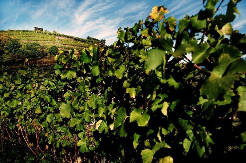 Отель Agritur Simoni