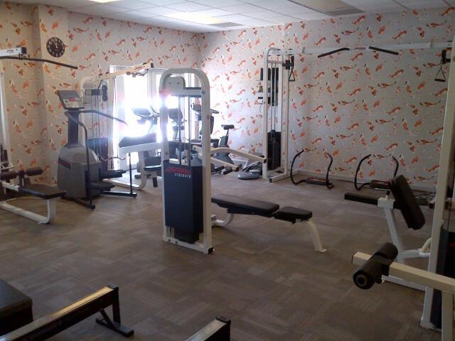 Отель Ilsington Country House Hotel