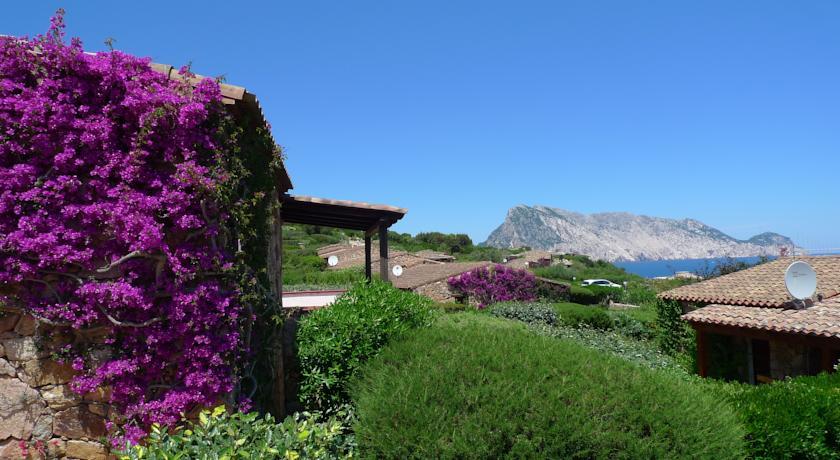 Апартаменты Punta Molara