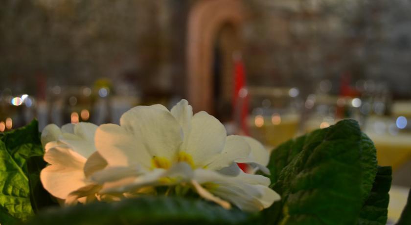 Отель Agriturismo Nestore