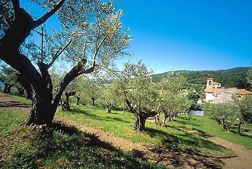 Отель Antica Conca D'oro