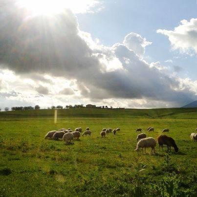 Отель Agriturismo La Polledrara