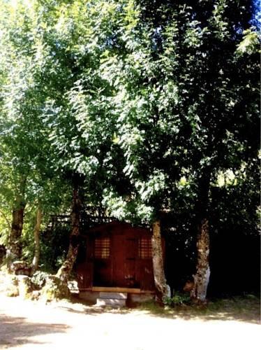 Отель Camping El Cares Picos de Europa