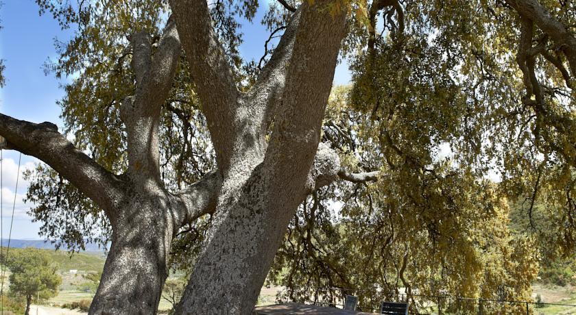 Отель Finca Ecologica Heredad La Boquilla