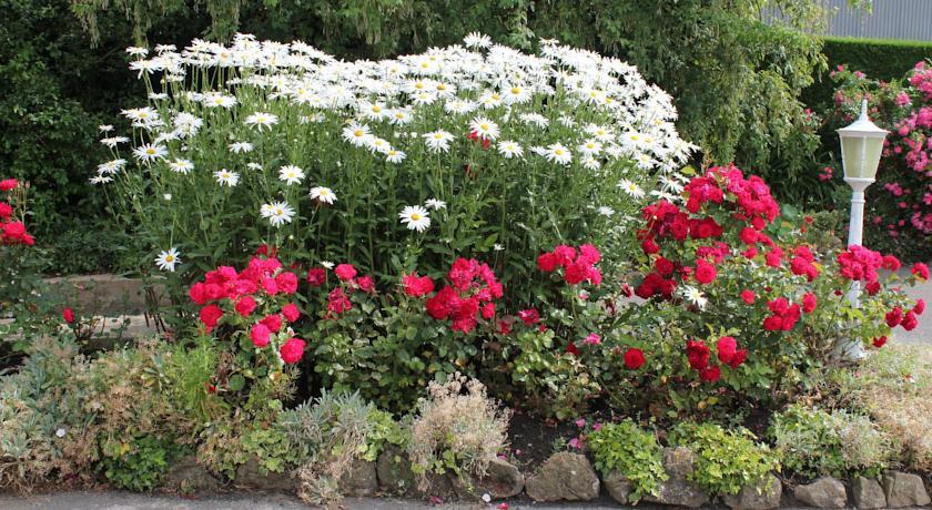 Апартаменты Gite les Lilas