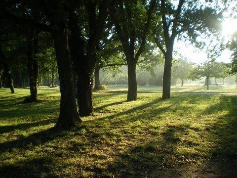 Апартаменты Les Gîtes de la Boissière